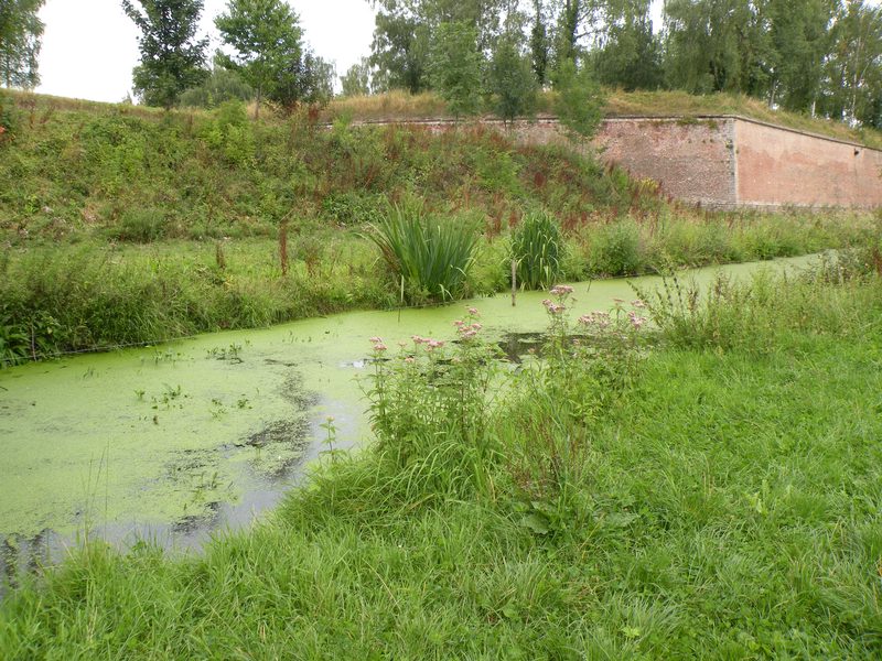  cours d'eau vers la citadelle